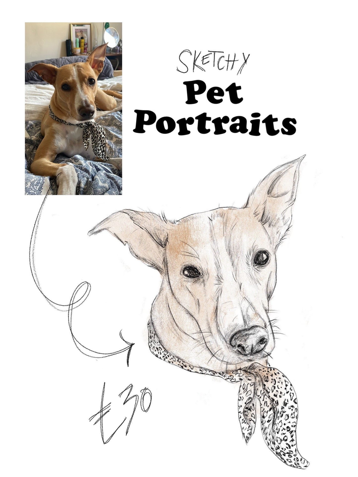 Sketchy Pet Portraits + Print